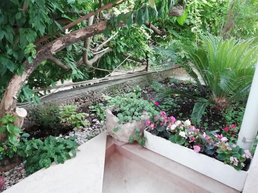 Apartmani Miki Podgora Bagian luar foto